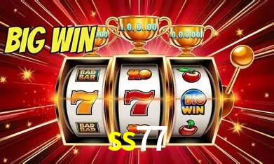 Security Systems ss77